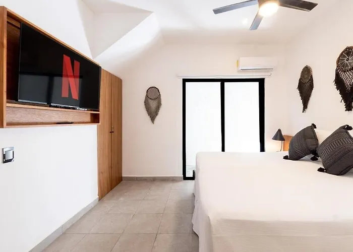 Apartment Magnificent One Block From Playacar