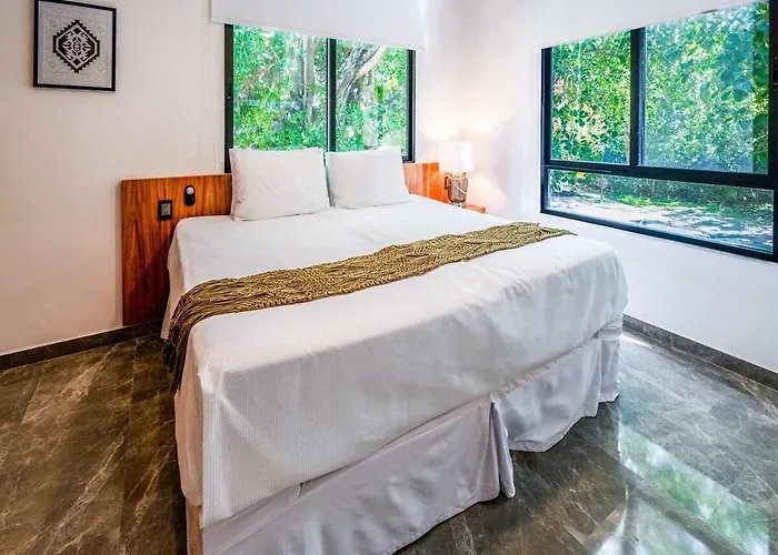 Magnificent One Block From Playacar Apartment