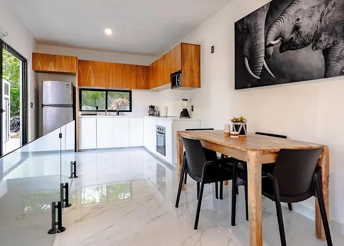 Apartment Magnificent One Block From Playacar *