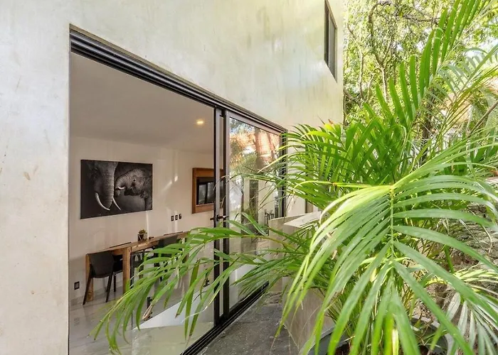 Apartment Magnificent One Block From Playacar