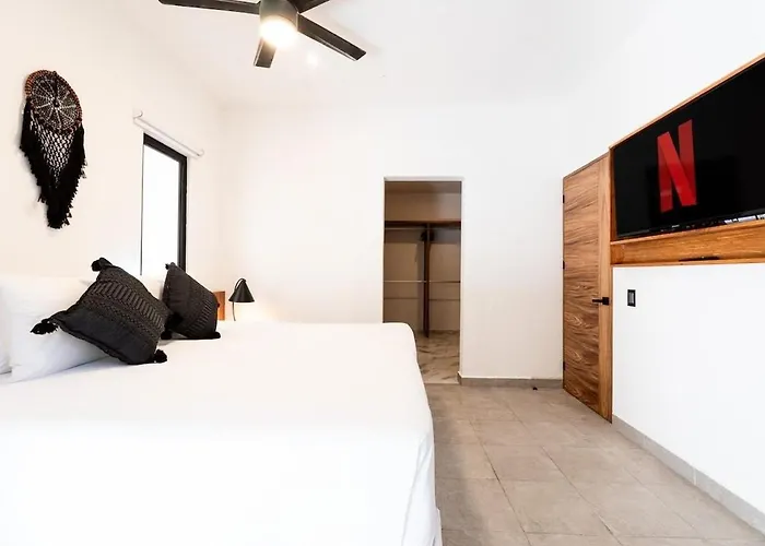 Magnificent One Block From Playacar *