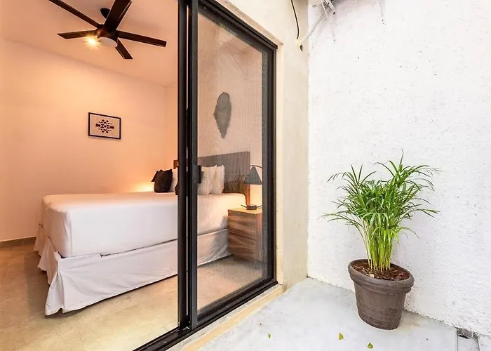 Magnificent One Block From Playacar *