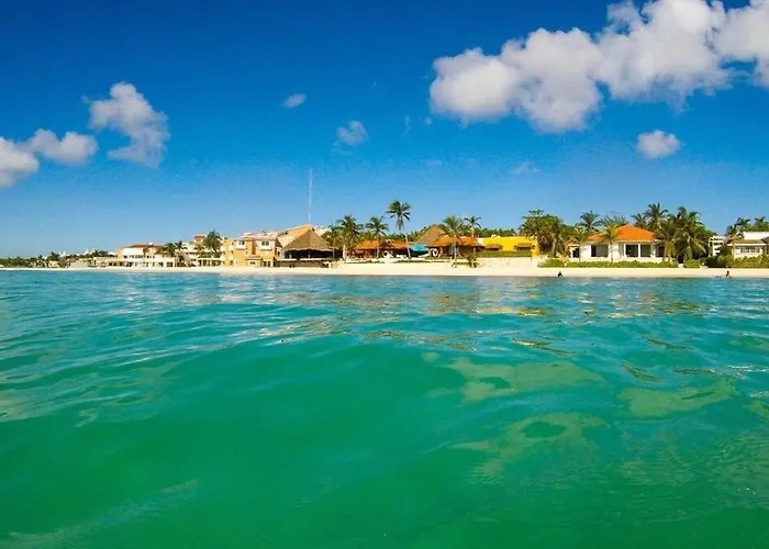 Apartment Magnificent One Block From Playacar